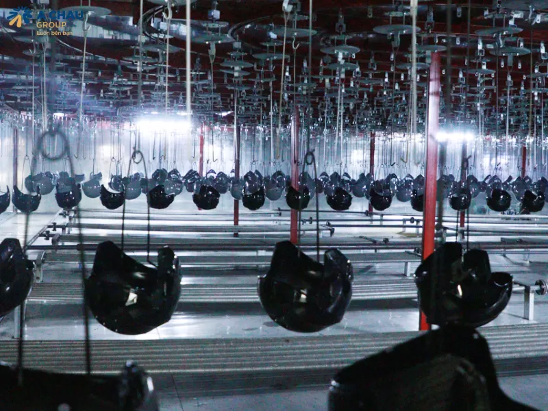 Á Châu đơn vị sản xuất đáp ứng các tố tạo nên một chiếc mũ bảo hiểm quà tặng chất lượng