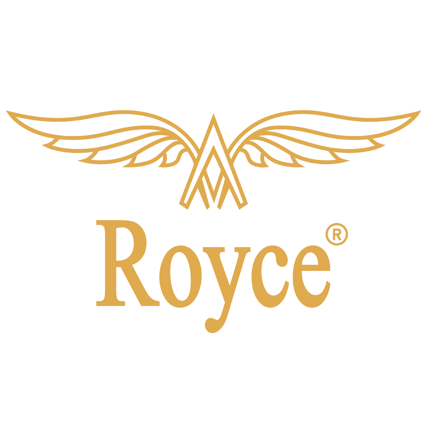 roycehelmet