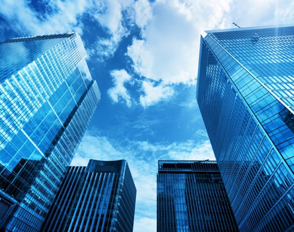 hơn 6 công ty thuộc tập đoàn