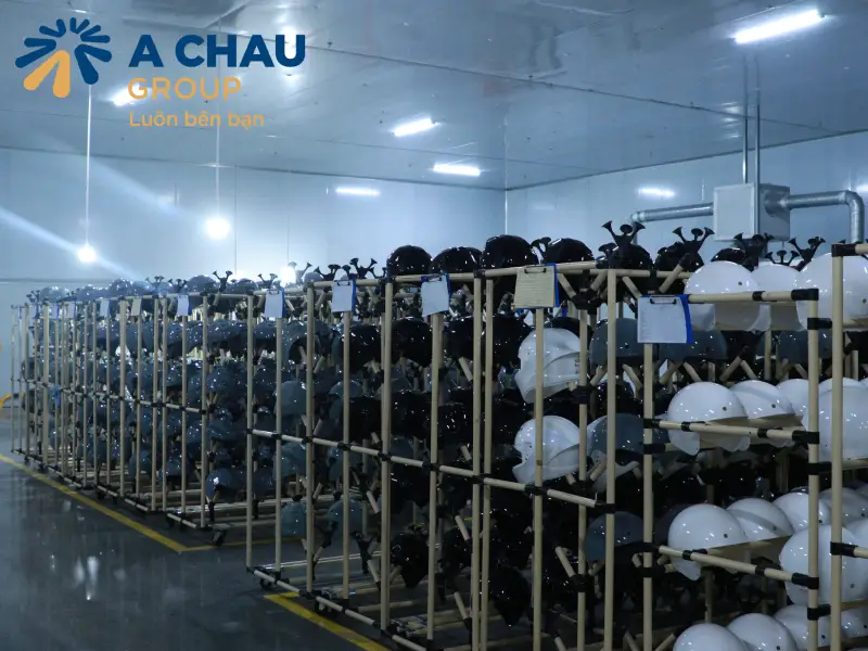 Tổng hợp các hãng mũ bảo hiểm tốt nhất Việt Nam 2025 7 Á CHÂU CÔNG TY SẢN XUẤT MŨ BẢO HIỂM THEO YÊU CẦU