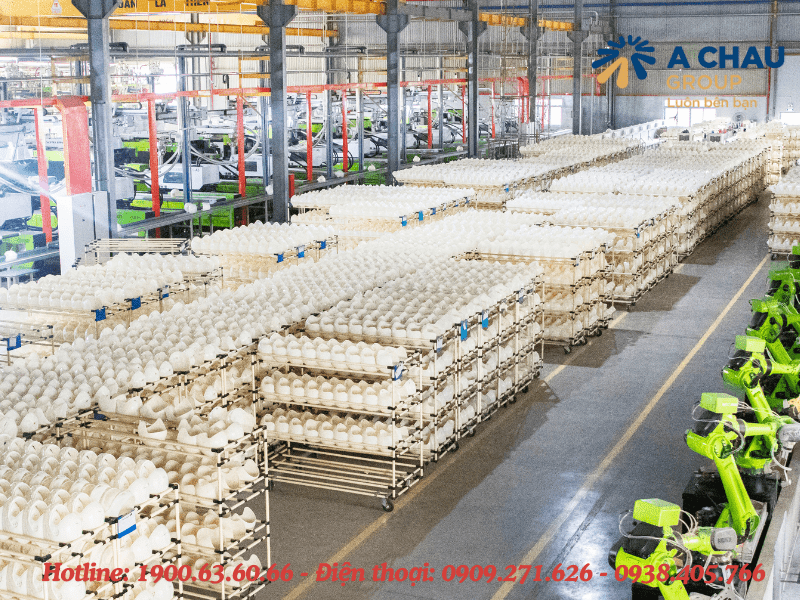Nên đặt mua nón bảo hiểm giá sỉ ở đâu tốt nhất 2025? 11 Công ty Á Châu có thể sản xuất 100.000 nón bảo hiểm mỗi ngày