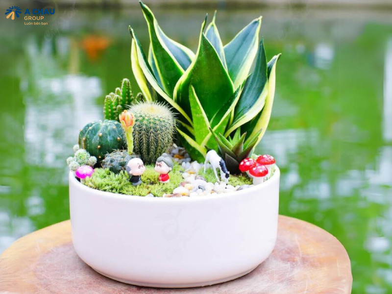 Top 105 quà tặng nhân viên các dịp lễ, sang trọng, ý nghĩa 11 Chậu cây để bàn