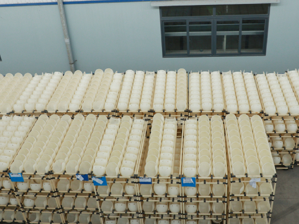 Vỏ nhưa abs mũ bảo hiểm á châu