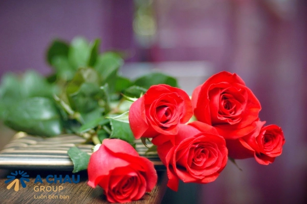 8/3 nên tặng gì cho người yêu lãng mạn