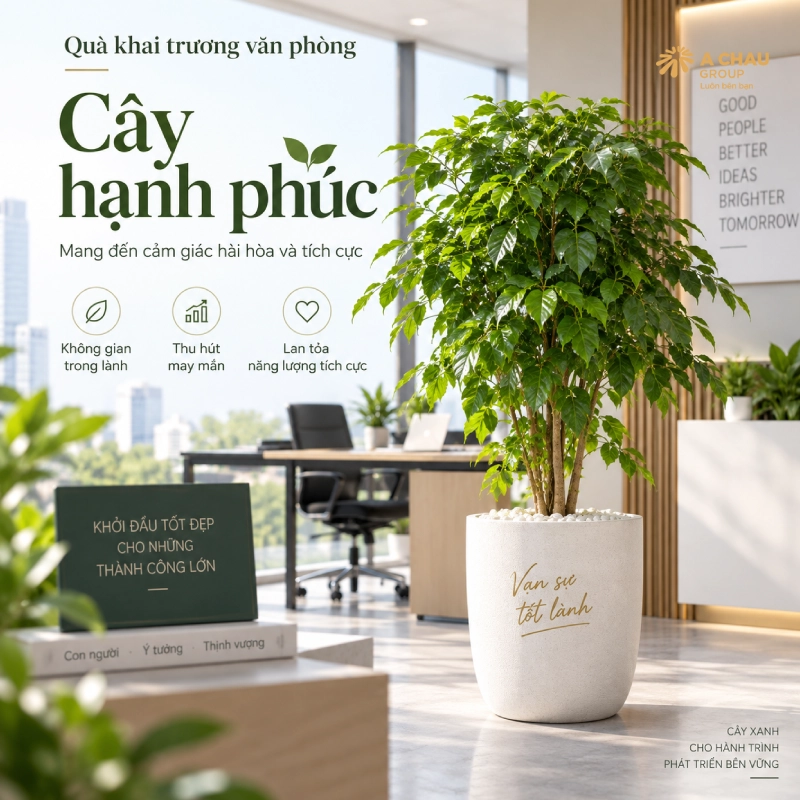 30 món quà khai trương văn phòng mới phồn thịnh phát tài lộc 10 Tặng Cây hạnh phúc