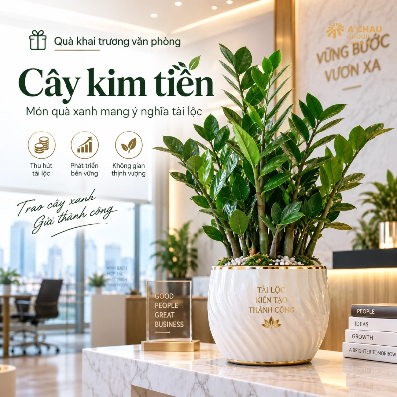 30 món quà khai trương văn phòng mới phồn thịnh phát tài lộc 7 Tặng Cây kim tiền